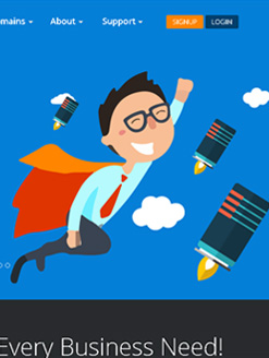 Website Design